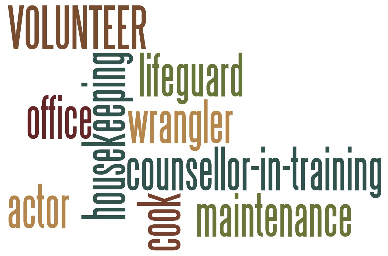word art of volunteer positions